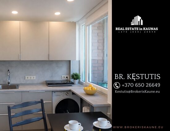 Nuomojamas šviesus, jaukus 1 kambario butas ant Nemuno kranto